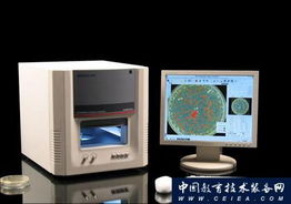 全自動(dòng)菌落計(jì)數(shù)儀 杭州迅數(shù)科技引領(lǐng)信息技術(shù)革新